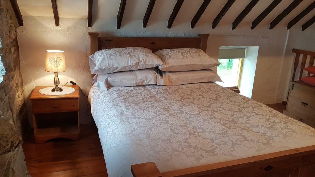 Stunning Views At Ballagh Cottage Newcastle Newcastle  Extérieur photo